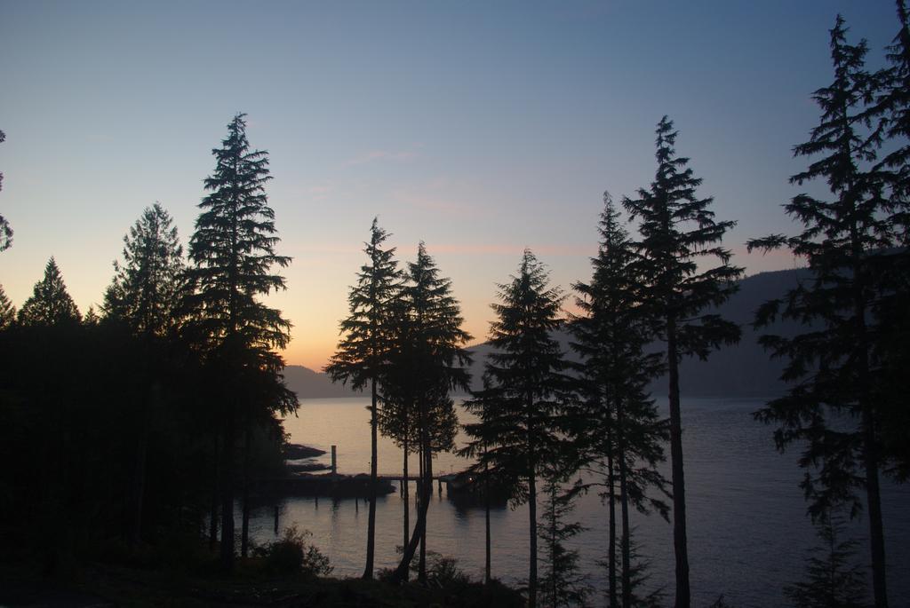 Wild Coast Chalets Port Renfrew Exteriér fotografie